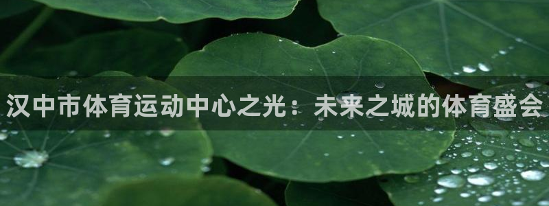 MK体育官方正版app娱乐是那个系列的台子：汉中市体育运动中