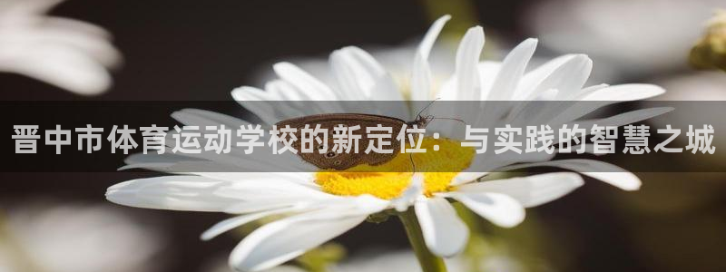 MK体育官方正版app娱乐代理怎么样：晋中市体育运动学校的新