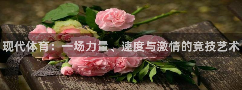 海南MK体育官网下载发展怎么样：现代体育：一场力量、