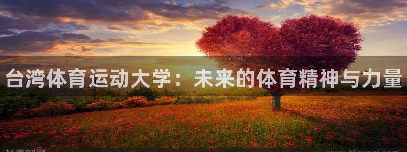 MK体育官方正版app五金厂：台湾体育运动大学：未来的体育精