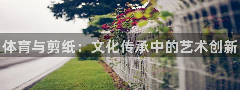 MK体育官网下载平台假的吗是真的吗：体育与剪纸：文化