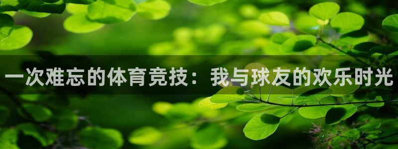 MK体育官网下载平台是正规平台吗：一次难忘的体育竞技：我与球