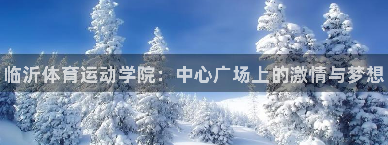MK体育官网下载平台注册：临沂体育运动学院：中心广场上的激情